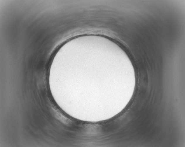 X0000079301498200611251659