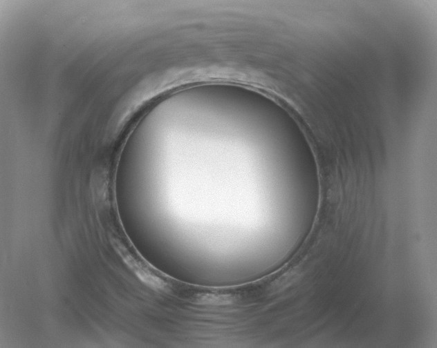 X0000079301499200611251659