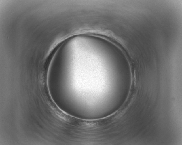 X0000079301501200611251659