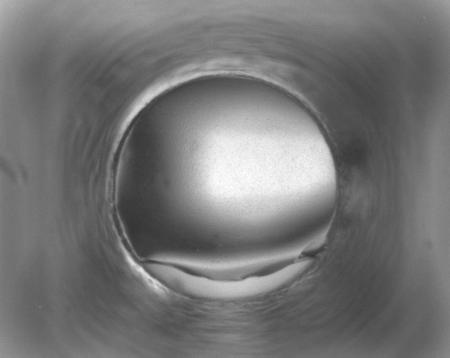X0000079301527200611251700