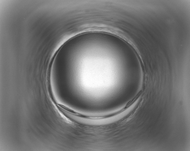 X0000079301533200611251700