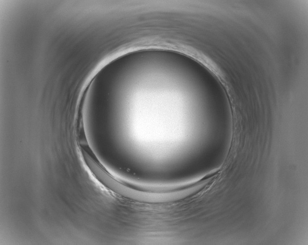 X0000079301536200611251700