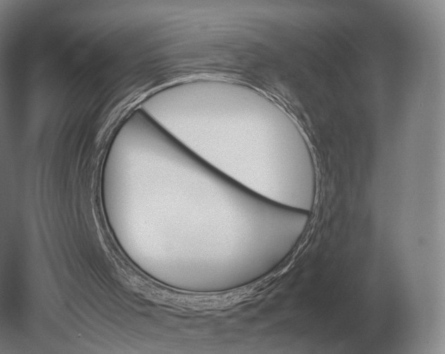X0000079300001200612011802
