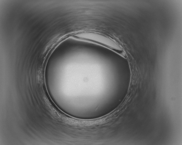 X0000079300002200612011802