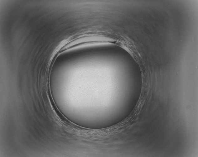 X0000079300003200612011802