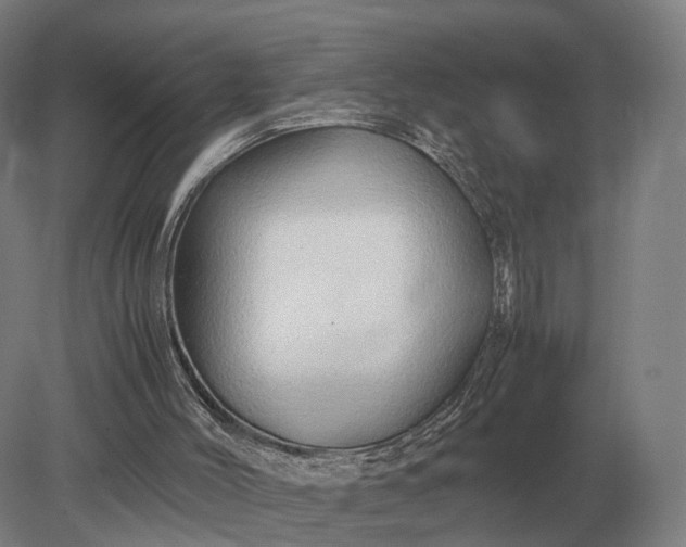 X0000079300004200612011802