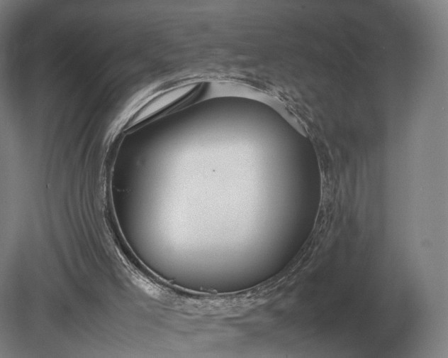 X0000079300005200612011802