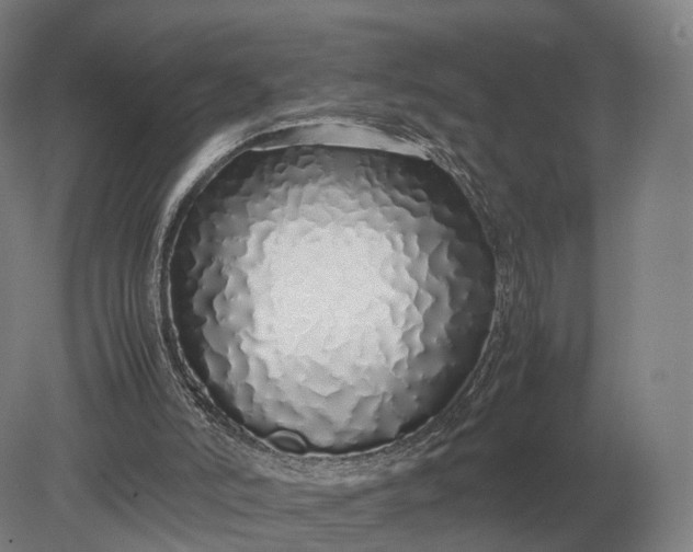 X0000079300006200612011801