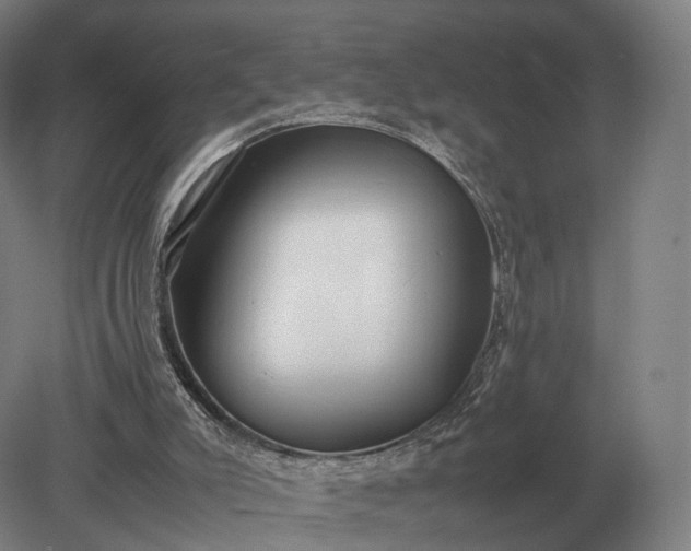 X0000079300007200612011801