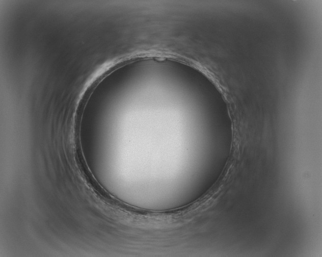 X0000079300008200612011801