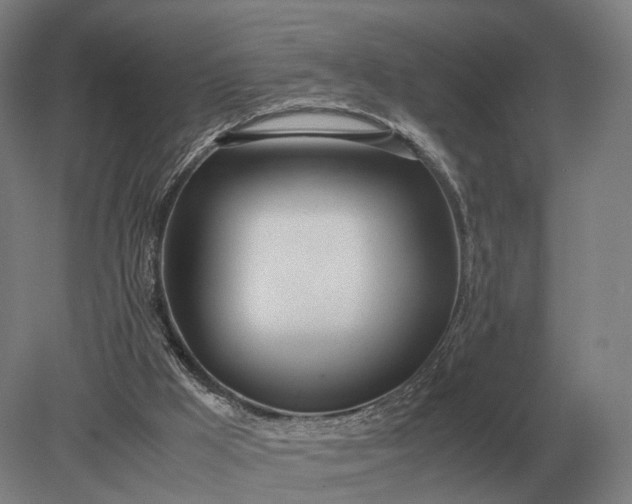 X0000079300009200612011801