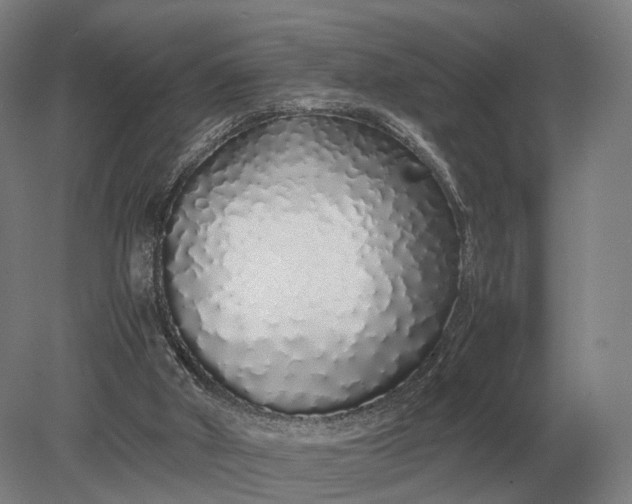 X0000079300010200612011801