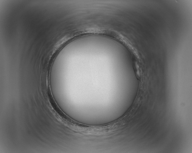 X0000079300011200612011801