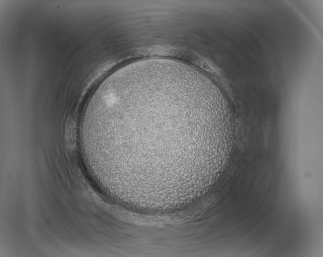X0000079300012200612011801