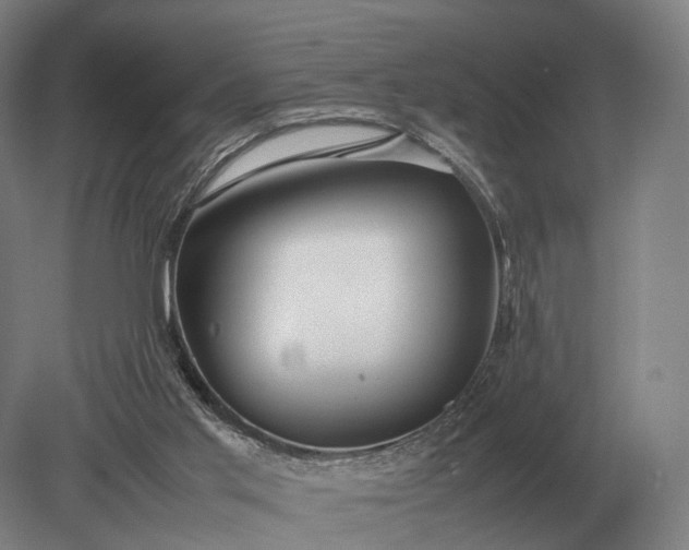 X0000079300013200612011801