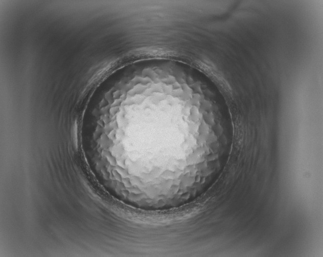 X0000079300014200612011801