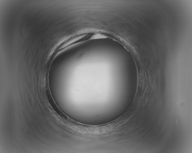 X0000079300015200612011801