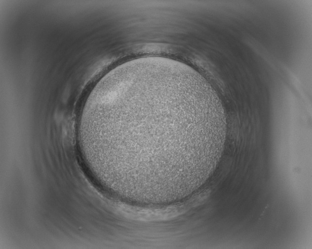 X0000079300016200612011801