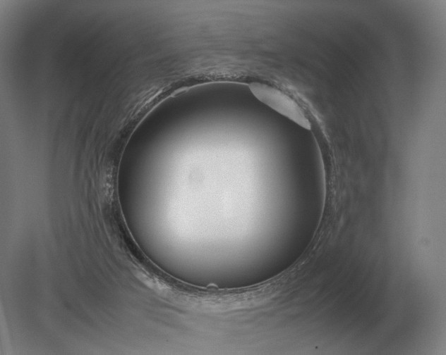 X0000079300017200612011801