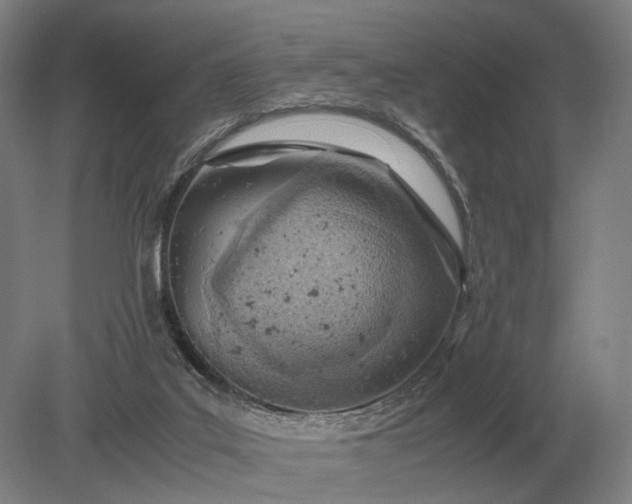 X0000079300019200612011801