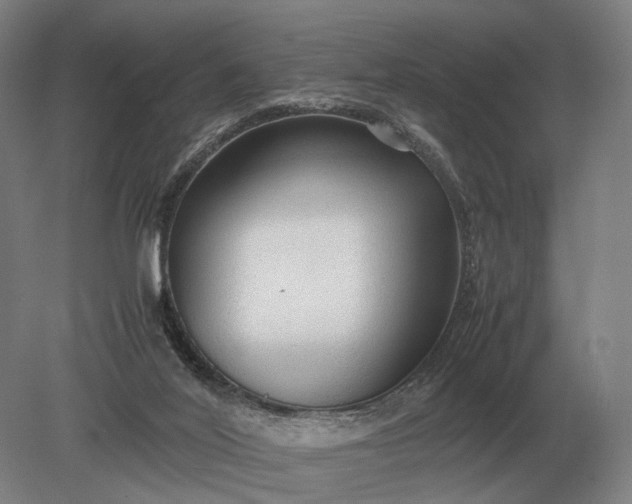 X0000079300020200612011801