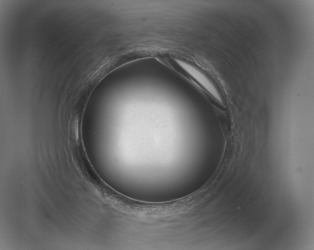 X0000079300021200612011801