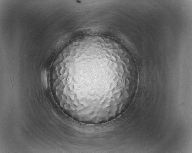 X0000079300022200612011801