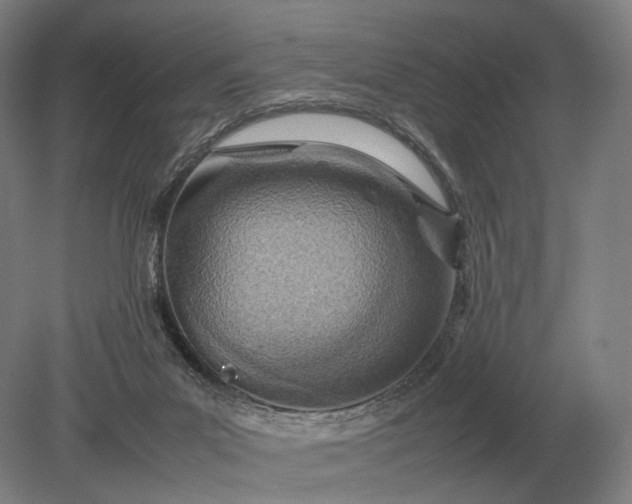 X0000079300023200612011801