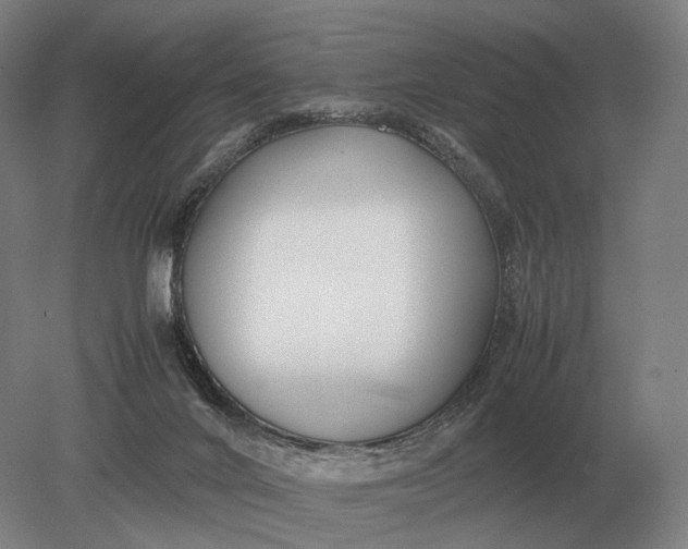 X0000079300024200612011801
