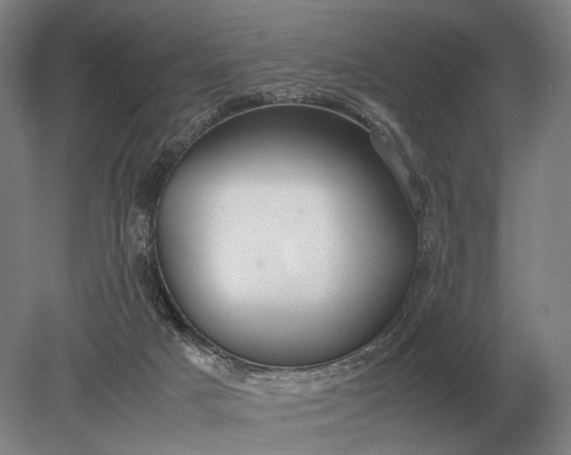 X0000079300025200612011801
