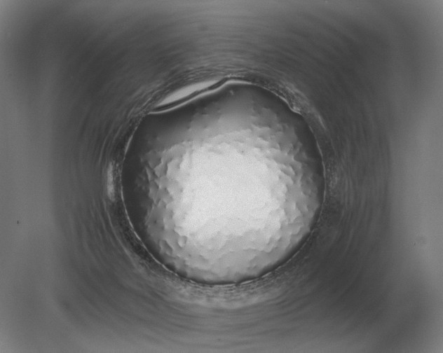 X0000079300026200612011801