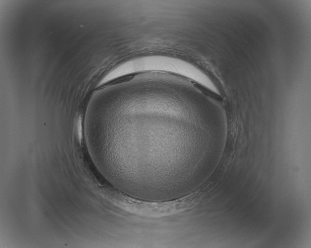 X0000079300027200612011801