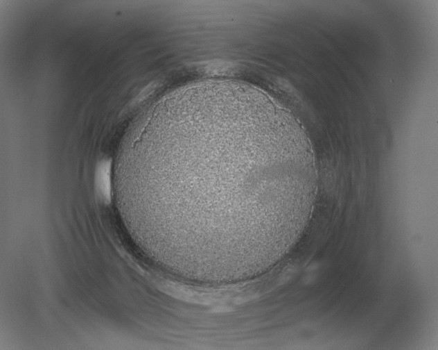 X0000079300028200612011801