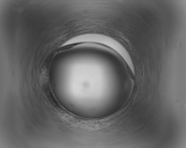 X0000079300029200612011801