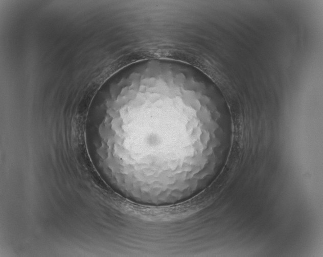 X0000079300030200612011801