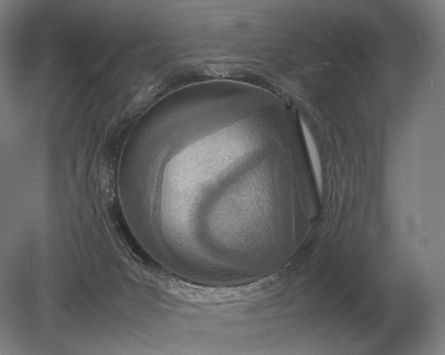 X0000079300031200612011801