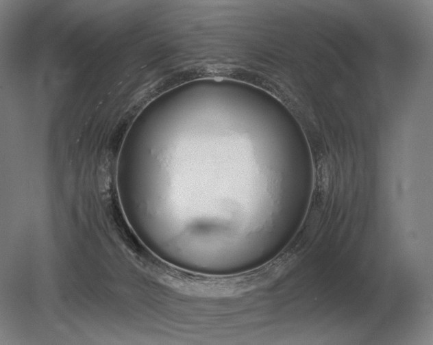 X0000079300032200612011801