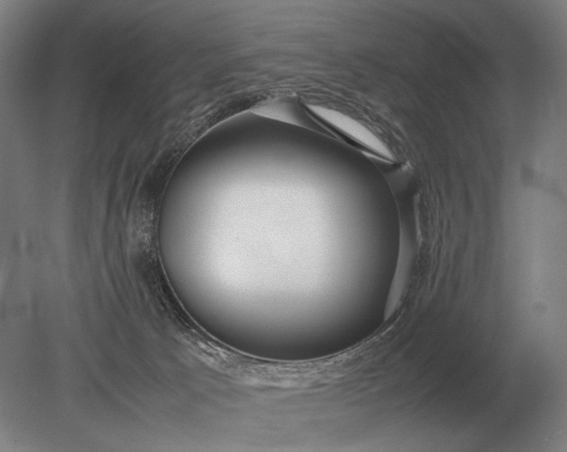 X0000079300033200612011801