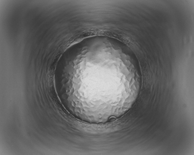 X0000079300034200612011801