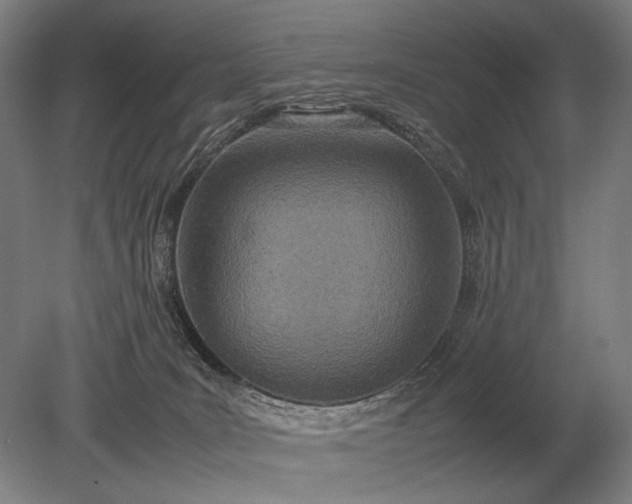 X0000079300035200612011801