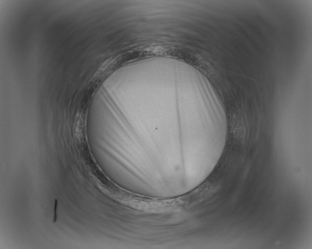 X0000079300036200612011801