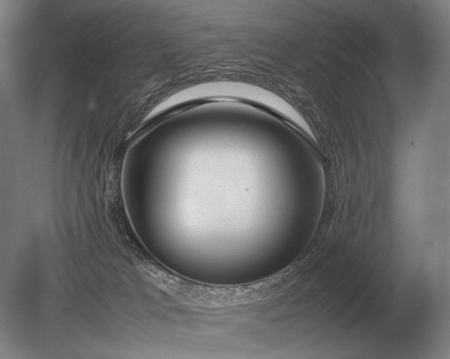 X0000079300037200612011801