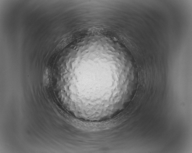 X0000079300038200612011801