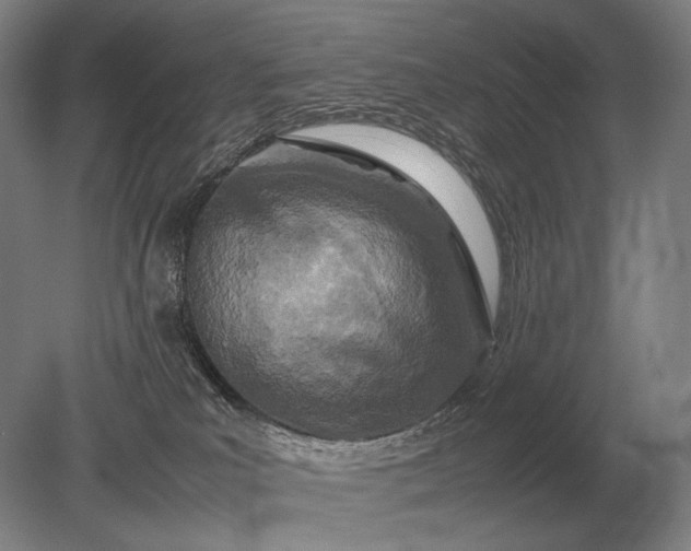 X0000079300039200612011801