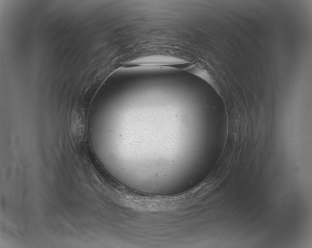 X0000079300040200612011801