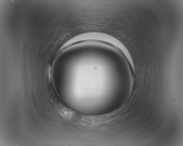 X0000079300041200612011801