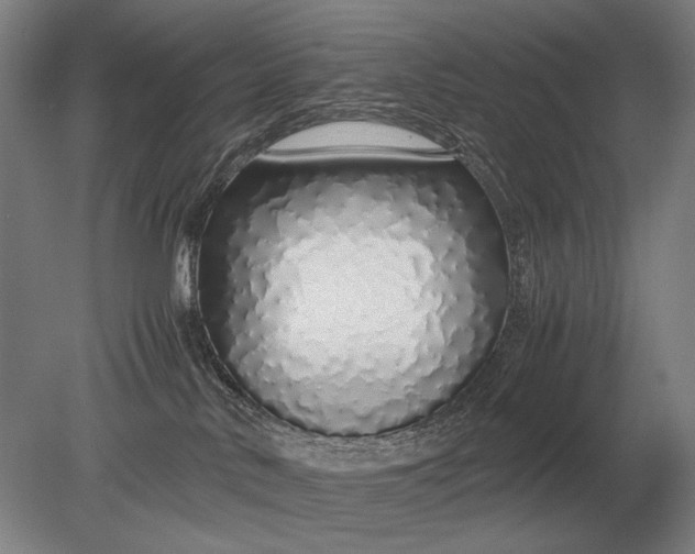 X0000079300042200612011801