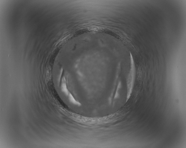X0000079300043200612011801