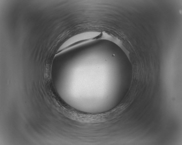 X0000079300044200612011801