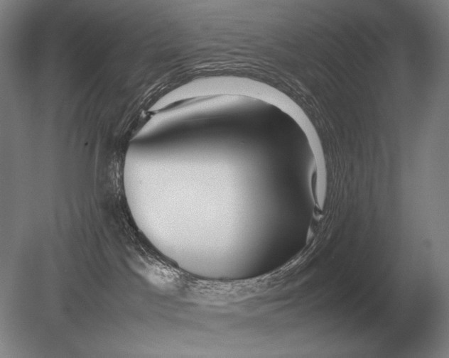 X0000079300045200612011801